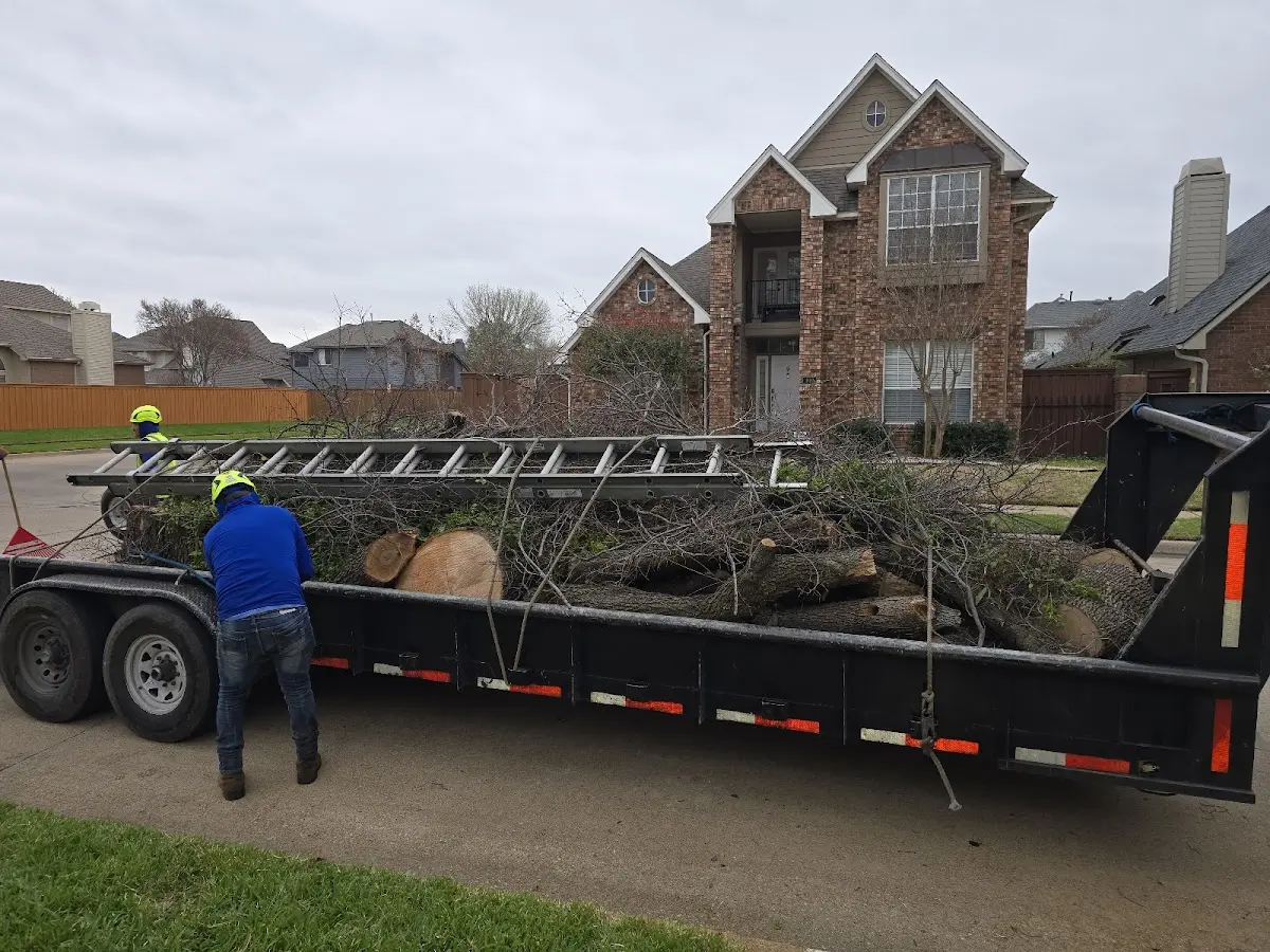 Expert Tree Fertilization with proper safety equipment in Platte City